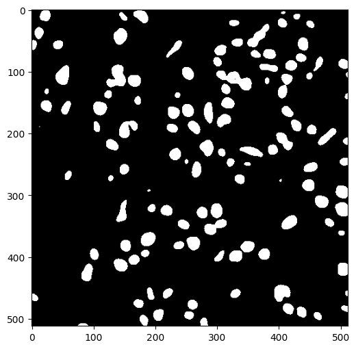 Nuclei Segmentation 3